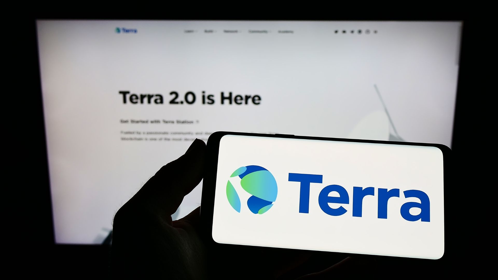 chris amani has been appointed CEO of terraform labs